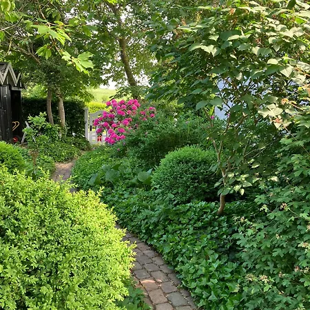 Fisherman's House By Lillebaelt With A Unique View ハザスレウ